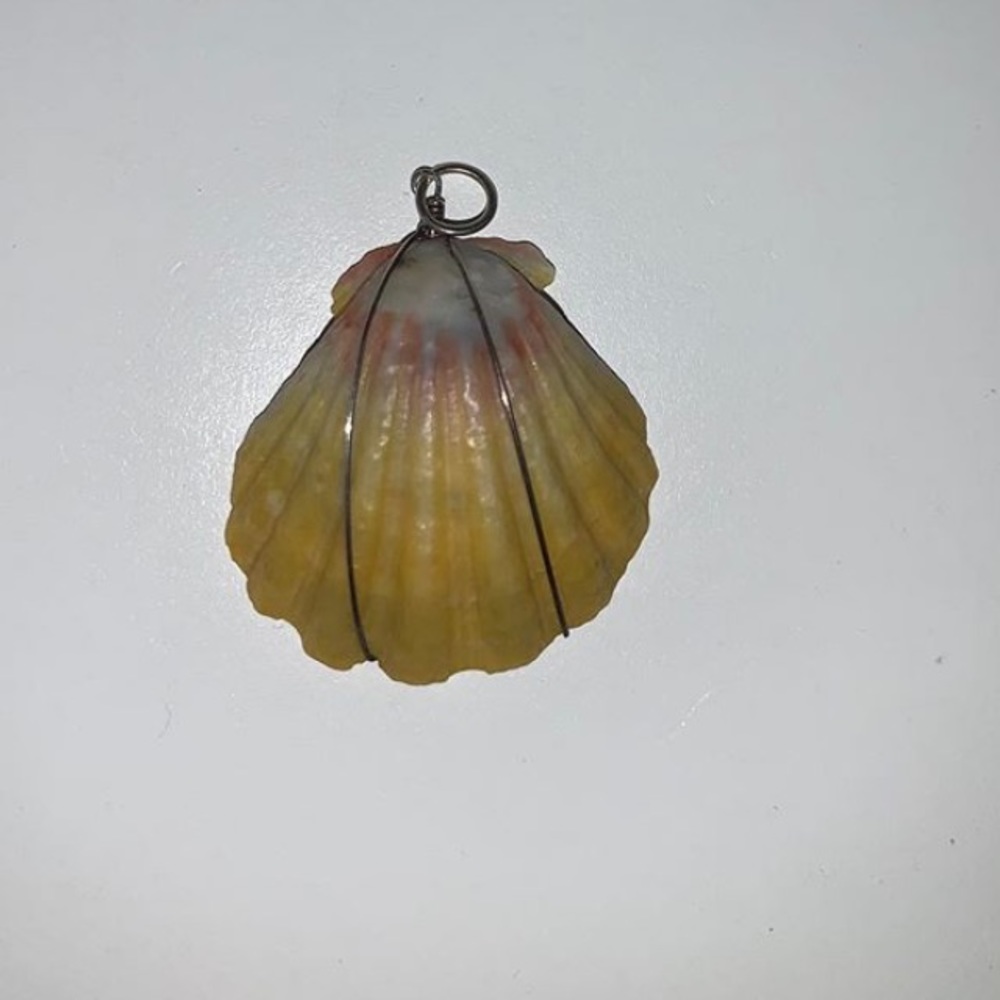 Sunrise shell